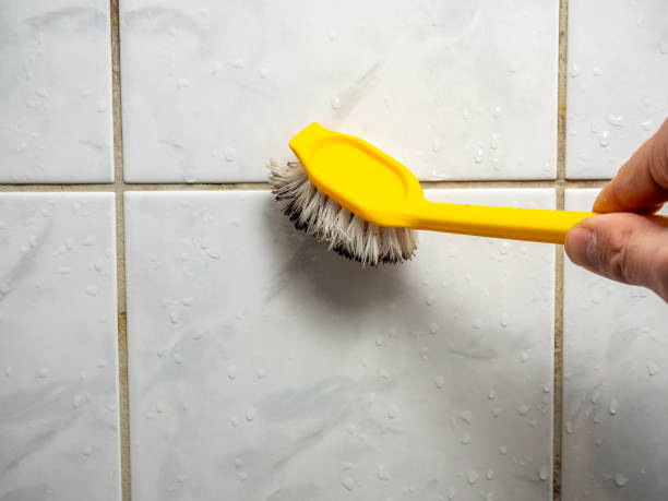 Best Mold Inspection  in Occoquan, VA