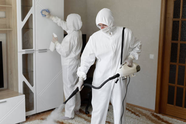 Best Black Mold Removal  in Occoquan, VA