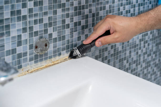 Best Home Mold Removal  in Occoquan, VA
