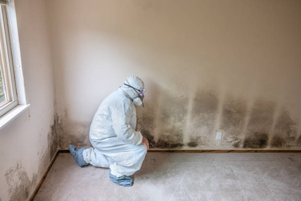 Water Damage Restoration in Occoquan, VA
